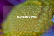 抖音播放量有收益吗