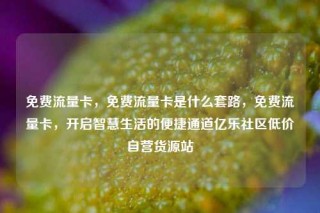免费流量卡，免费流量卡是什么套路，免费流量卡，开启智慧生活的便捷通道亿乐社区低价自营货源站