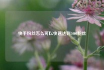 快手粉丝怎么可以快速达到5000粉丝