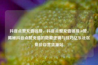 抖音点赞充值链接，抖音点赞充值链接50赞，揭秘抖音点赞充值的隐藏逻辑与技巧亿乐社区低价自营货源站