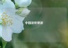 中国游世界游