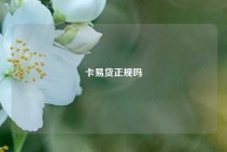 卡易贷正规吗