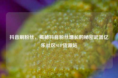 抖音刷粉丝，揭秘抖音粉丝增长的秘密武器亿乐社区SUP货源站  第1张