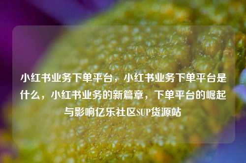 小红书业务下单平台	，小红书业务下单平台是什么，小红书业务的新篇章，下单平台的崛起与影响亿乐社区SUP货源站  第1张
