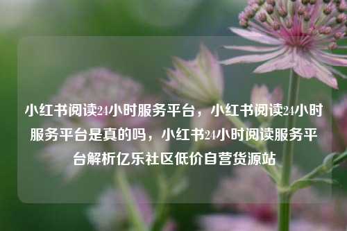 小红书阅读24小时服务平台，小红书阅读24小时服务平台是真的吗，小红书24小时阅读服务平台解析亿乐社区低价自营货源站  第1张