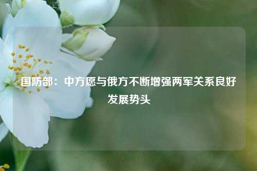 国防部：中方愿与俄方不断增强两军关系良好发展势头  第1张