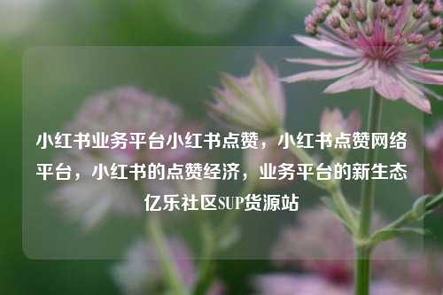 小红书业务平台小红书点赞	，小红书点赞网络平台，小红书的点赞经济，业务平台的新生态亿乐社区SUP货源站  第1张