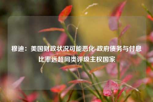 穆迪：美国财政状况可能恶化 政府债务与付息比率远超同类评级主权国家  第1张