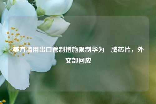美方滥用出口管制措施限制华为昇腾芯片，外交部回应  第1张