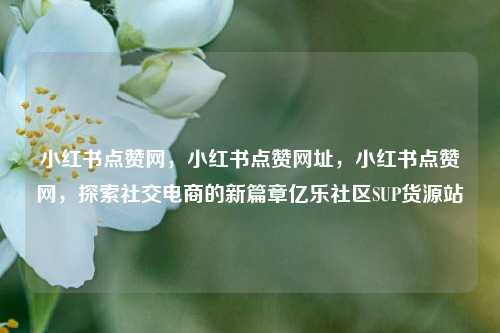 小红书点赞网，小红书点赞网址，小红书点赞网	，探索社交电商的新篇章亿乐社区SUP货源站  第1张