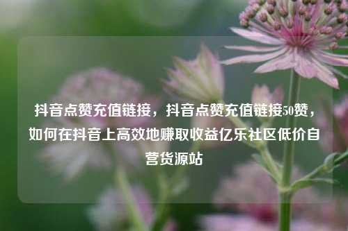 抖音点赞充值链接，抖音点赞充值链接50赞，如何在抖音上高效地赚取收益亿乐社区低价自营货源站  第1张