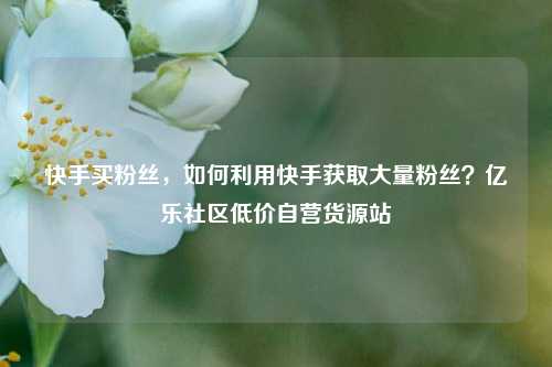 快手买粉丝	，如何利用快手获取大量粉丝？亿乐社区低价自营货源站  第1张