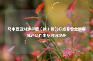 马来西亚对涉华镀（涂）锡的铁或非合金钢扁轧产品作出反倾销终裁