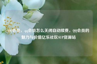 QQ会员，qq会员怎么关闭自动续费，QQ会员的魅力与价值亿乐社区SUP货源站