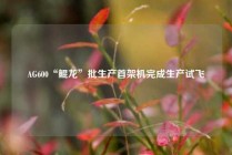 AG600“鲲龙”批生产首架机完成生产试飞