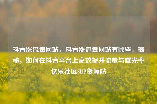 抖音涨流量网站	，抖音涨流量网站有哪些，揭秘，如何在抖音平台上高效提升流量与曝光率亿乐社区SUP货源站  第1张