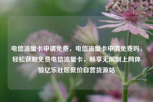 电信流量卡申请免费，电信流量卡申请免费吗	，轻松获取免费电信流量卡，畅享无限制上网体验亿乐社区低价自营货源站  第1张