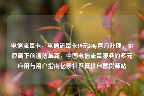 电信流量卡	，电信流量卡19元200g官方办理，5G浪潮下的通信革新，中国电信流量服务的多元应用与用户指南亿乐社区低价自营货源站  第1张